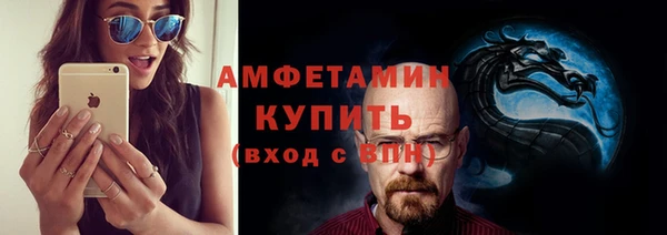 прущие грибы Верея