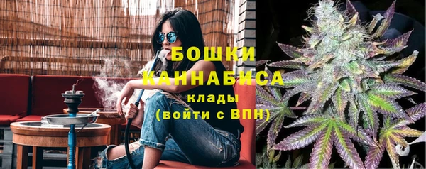 прущие грибы Верея