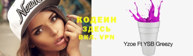 прущие грибы Верея