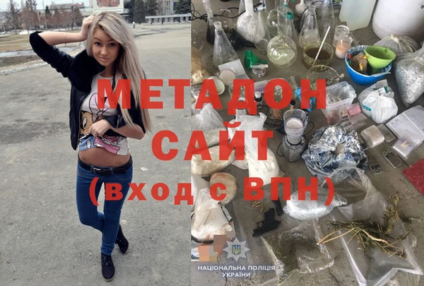 прущие грибы Верея