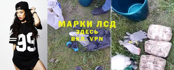 прущие грибы Верея
