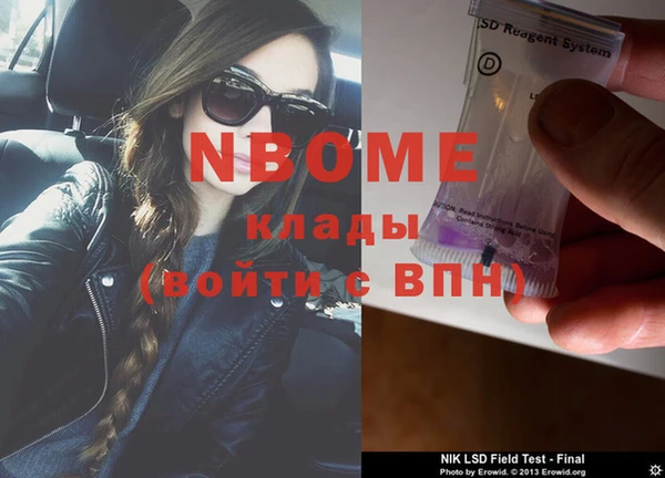 прущие грибы Верея
