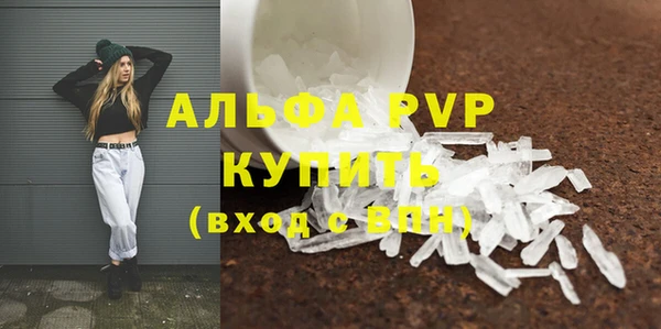 прущие грибы Верея
