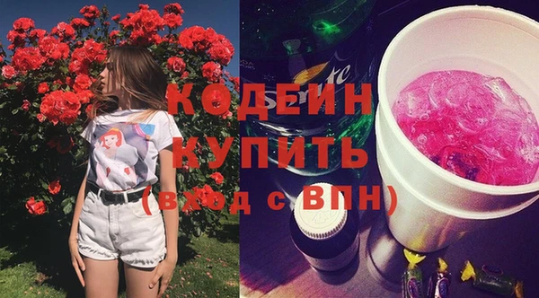 прущие грибы Верея
