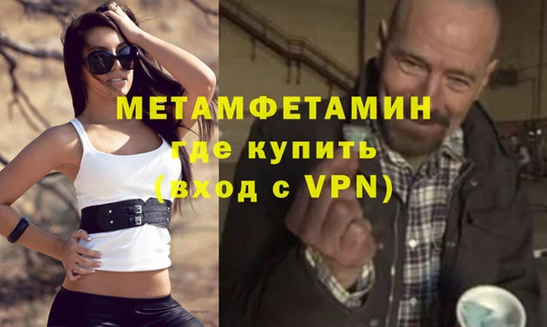 прущие грибы Верея
