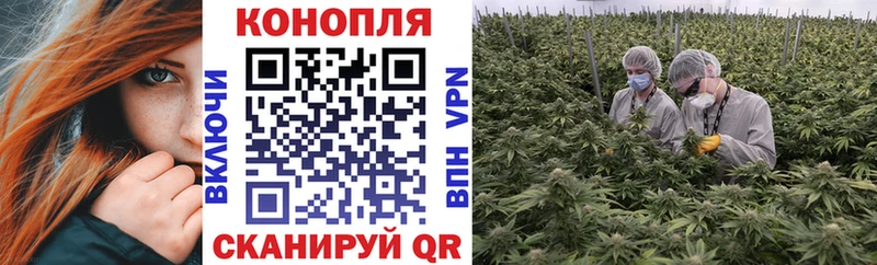Канабис марихуана  хочу   Гаджиево 